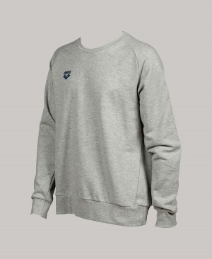 Arena Essential Crewneck Sweatshirt Grå | TKZ34D-990