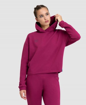 Arena Hooded Fleece Sweatshirt Röda | WAF56J-919