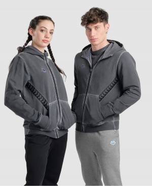 Arena Icons Hooded Jacka Grå | PCC28F-740