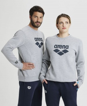 Arena Logo Crewneck Sweatshirt Grå | GVH33J-375