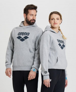 Arena Logo Hooded Sweatshirt Grå | CVS33B-781