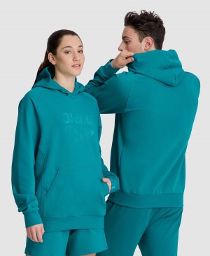 Arena Logo Hooded Sweatshirt Gröna | DBR55U-746