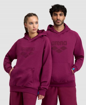 Arena Logo Hooded Sweatshirt Vinröda | DAV80K-556