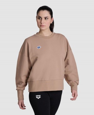 Arena Oversized Crew Neck Sweatshirt Khaki | CZG37V-101