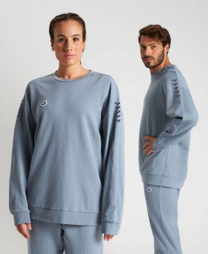 Arena Oversized Team Sweatshirt Grå | XQS06M-022