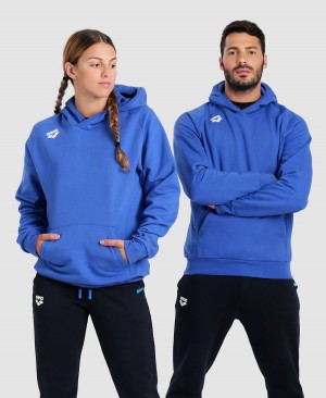 Arena Team Hooded Panel Sweatshirt Blå | NCA46D-177