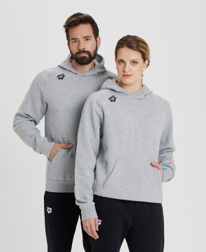 Arena Team Hooded Panel Sweatshirt Grå | VBO02M-030