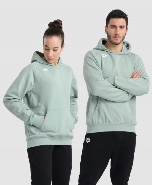 Arena Team Hooded Panel Sweatshirt Gröna | EPM62L-569