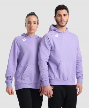 Arena Team Hooded Panel Sweatshirt Lila | MOR75H-139