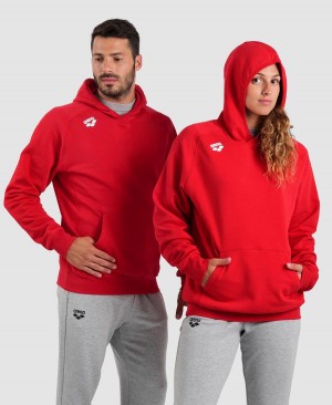 Arena Team Hooded Panel Sweatshirt Röda | VLM97Q-461