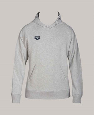 Arena Team Line Hoodie Grå | EFO11U-146