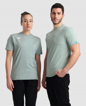 Arena Team Panel T-Shirt Gröna | PUG35W-941