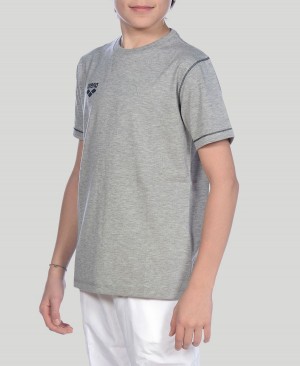 Arena Youth Team Line Korta Sleeve T-Shirt Grå | UEA53N-126