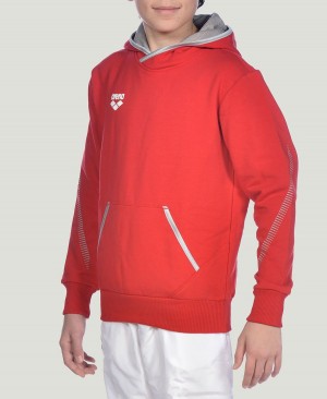 Arena Youth Team Line Long Sleeve Hoodie Röda | CAO18I-699