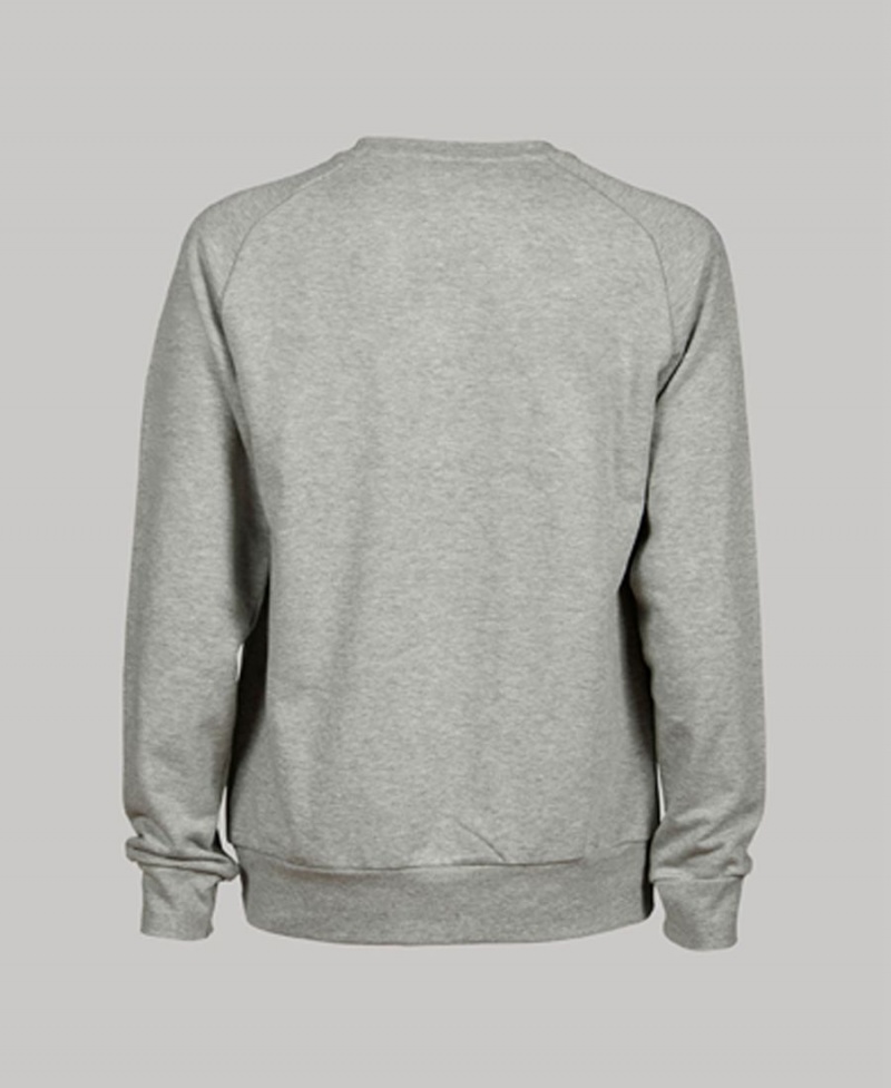 Arena Essential Crewneck Sweatshirt Grå | TKZ34D-990