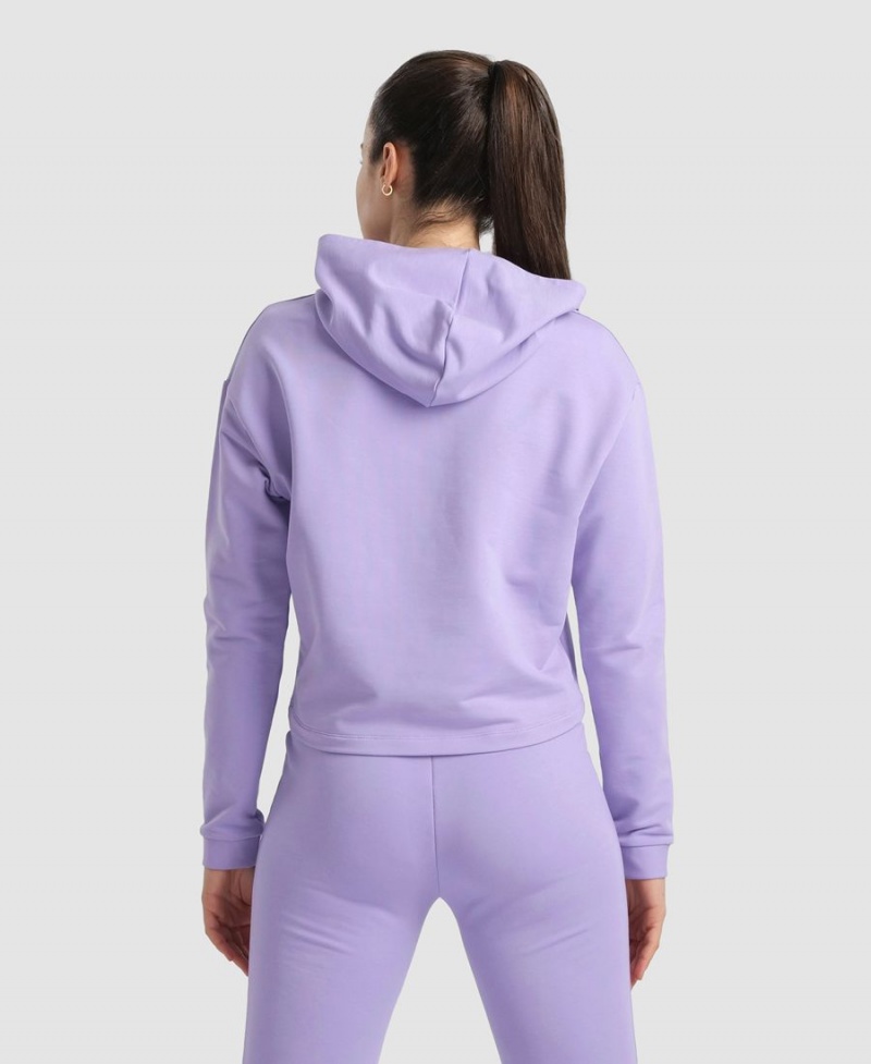 Arena Hooded Fleece Sweatshirt Lila | LWP76T-815