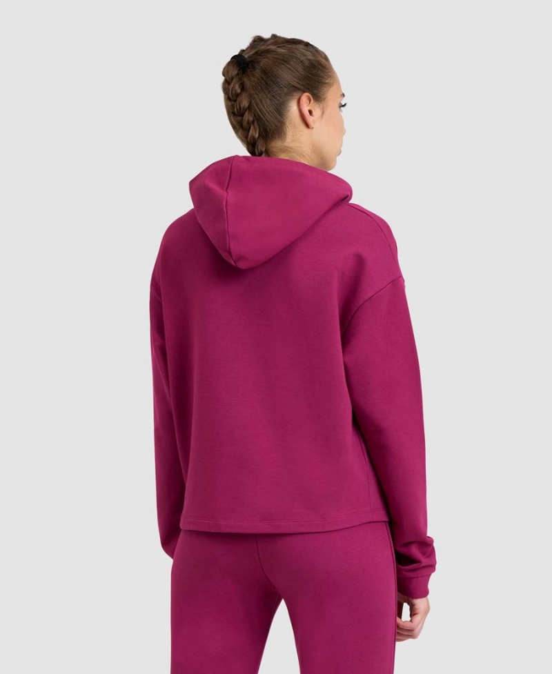 Arena Hooded Fleece Sweatshirt Röda | WAF56J-919