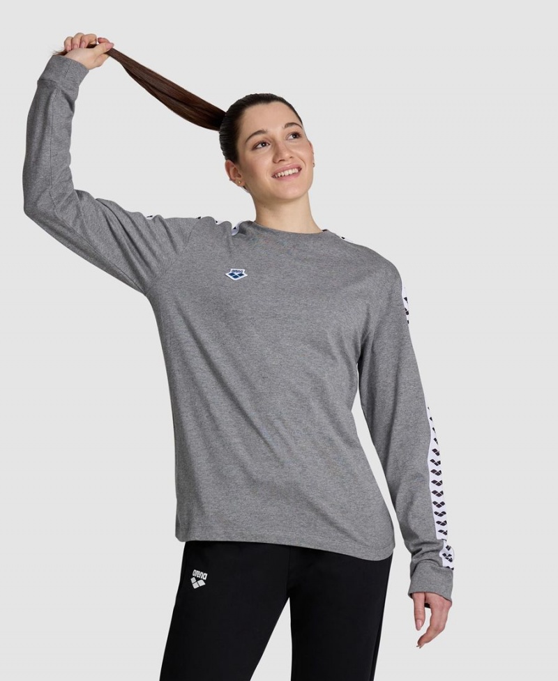 Arena Icons Long Sleeve T-Shirt Grå Vita | IHE63V-328