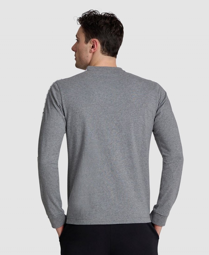 Arena Icons Long Sleeve T-Shirt Grå Vita | IHE63V-328