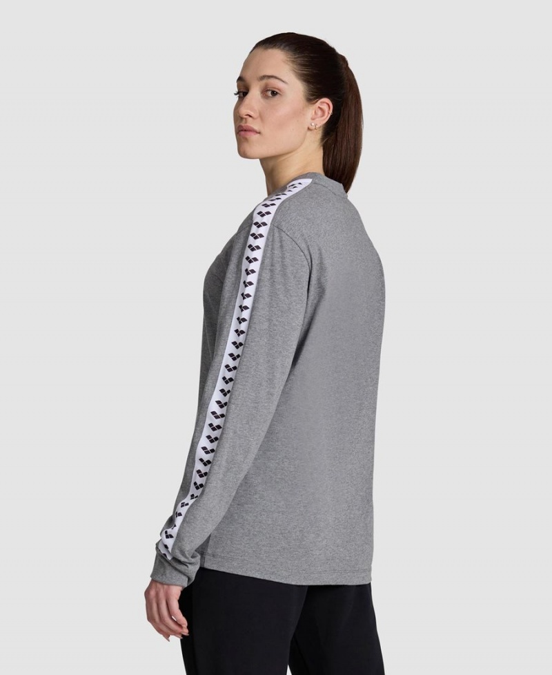 Arena Icons Long Sleeve T-Shirt Grå Vita | IHE63V-328