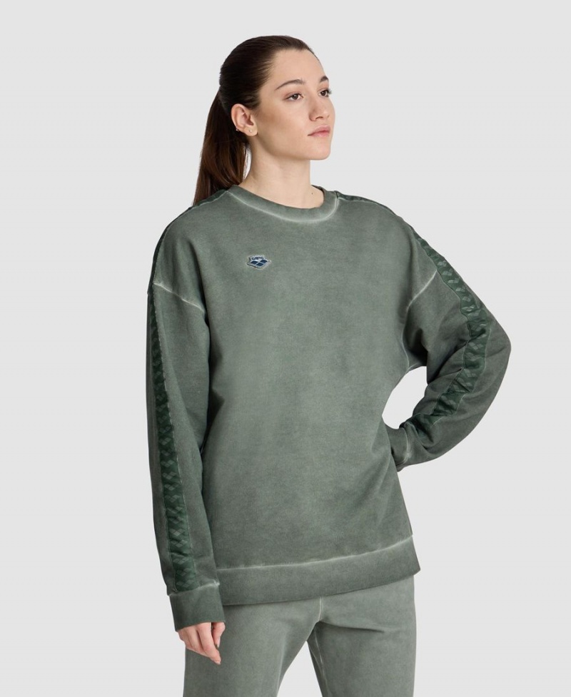 Arena Icons Oversize Sweatshirt Gröna | HEK26H-278