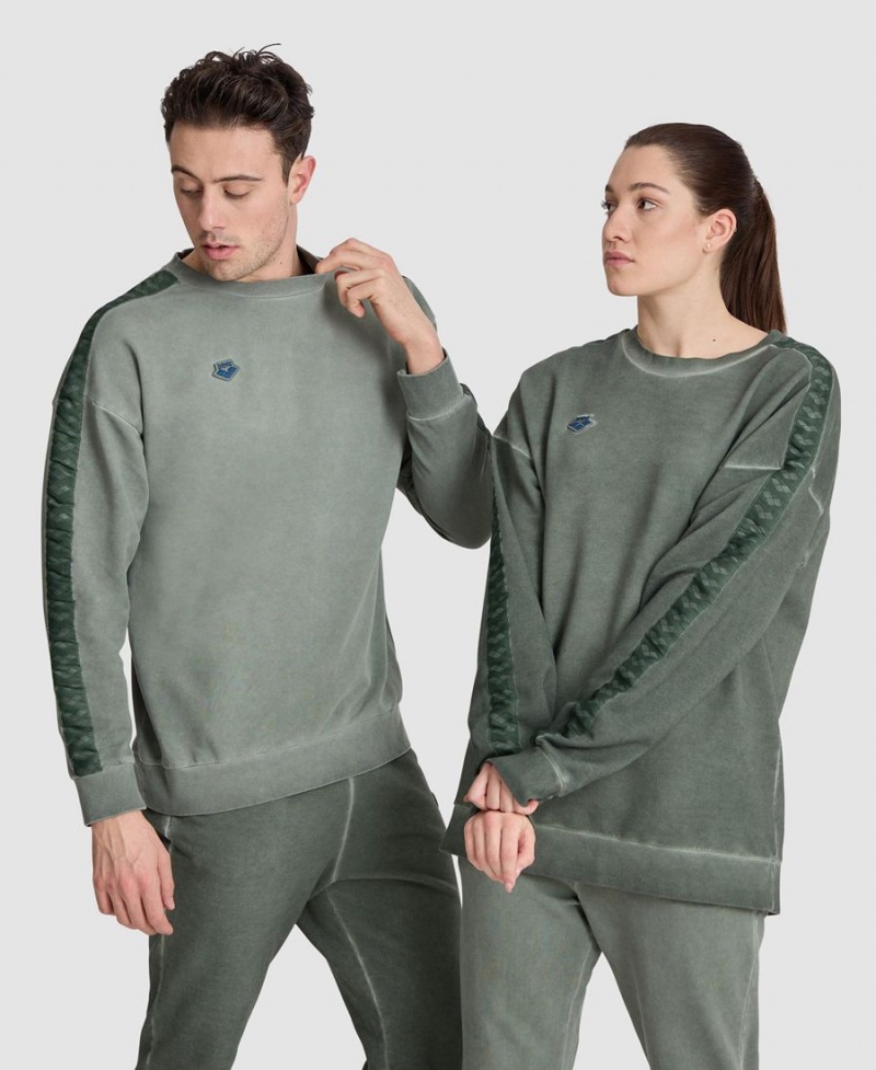 Arena Icons Oversize Sweatshirt Gröna | HEK26H-278