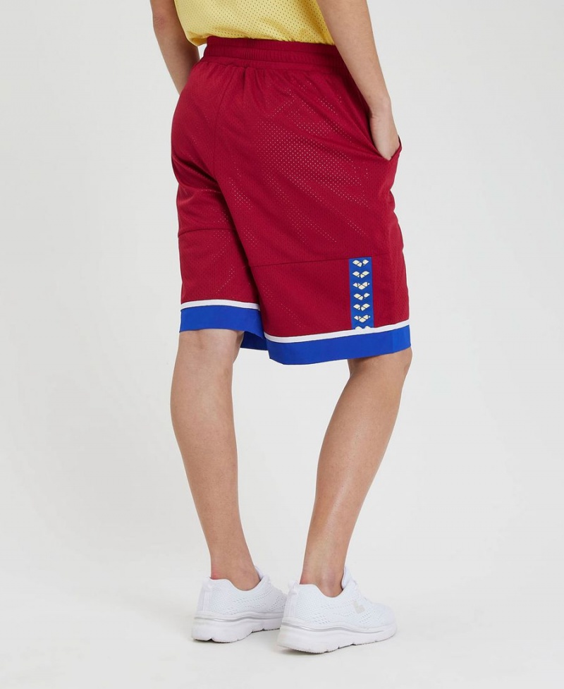 Arena Icons Reversible Bermuda Shorts Vinröda Blå | MTJ32U-883