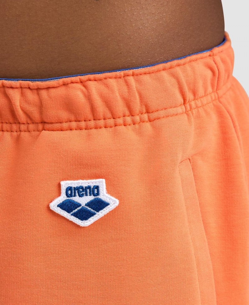 Arena Icons Shorts Orange | DSS41M-306