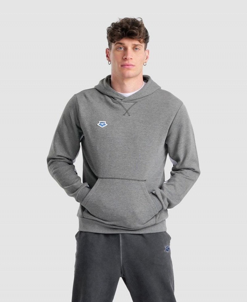 Arena Icons Solid Hooded Sweatshirt Grå | AFN21G-232