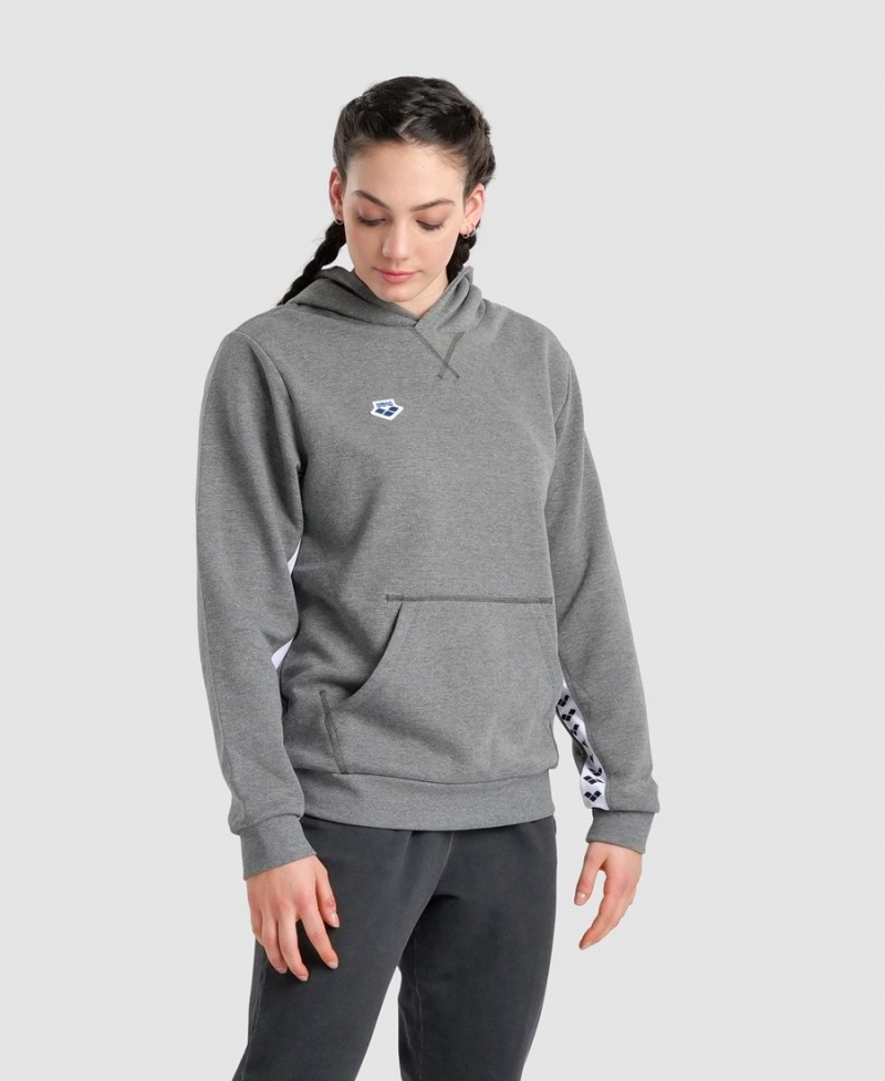 Arena Icons Solid Hooded Sweatshirt Grå | AFN21G-232