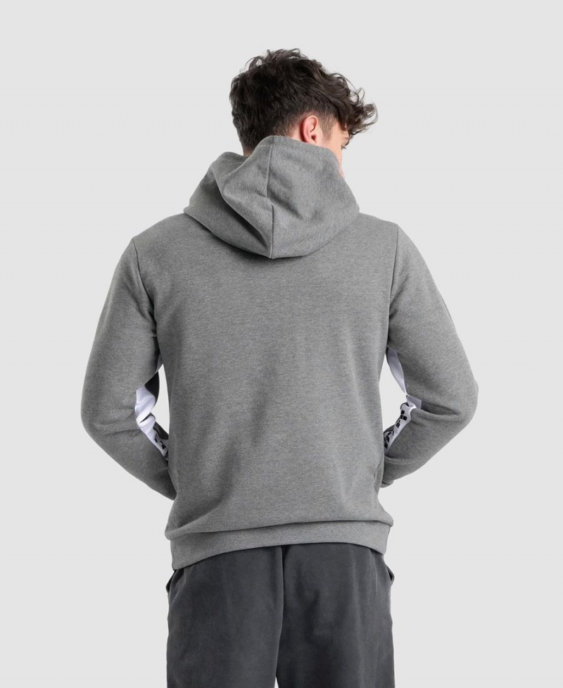 Arena Icons Solid Hooded Sweatshirt Grå | AFN21G-232