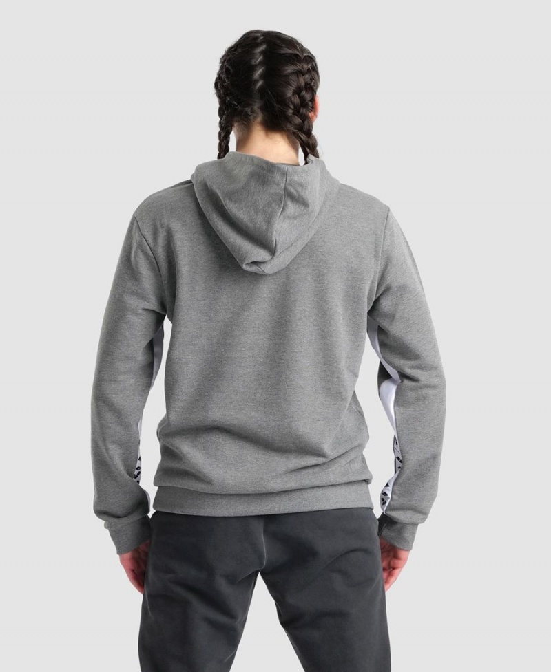 Arena Icons Solid Hooded Sweatshirt Grå | AFN21G-232