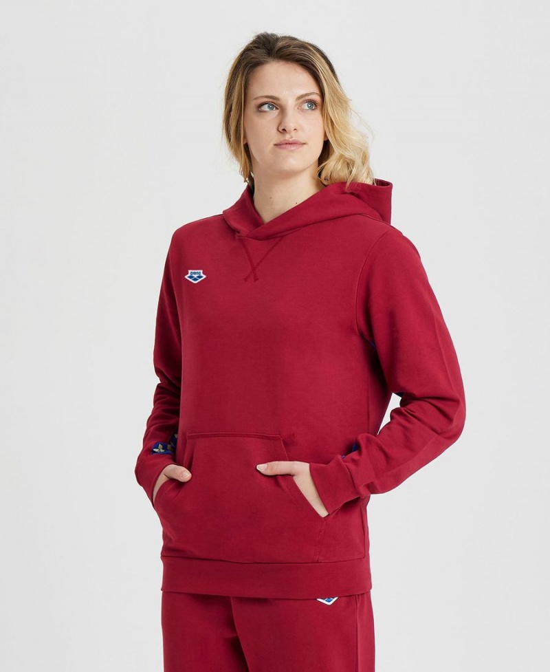 Arena Icons Solid Hooded Sweatshirt Vinröda | UNE59T-339