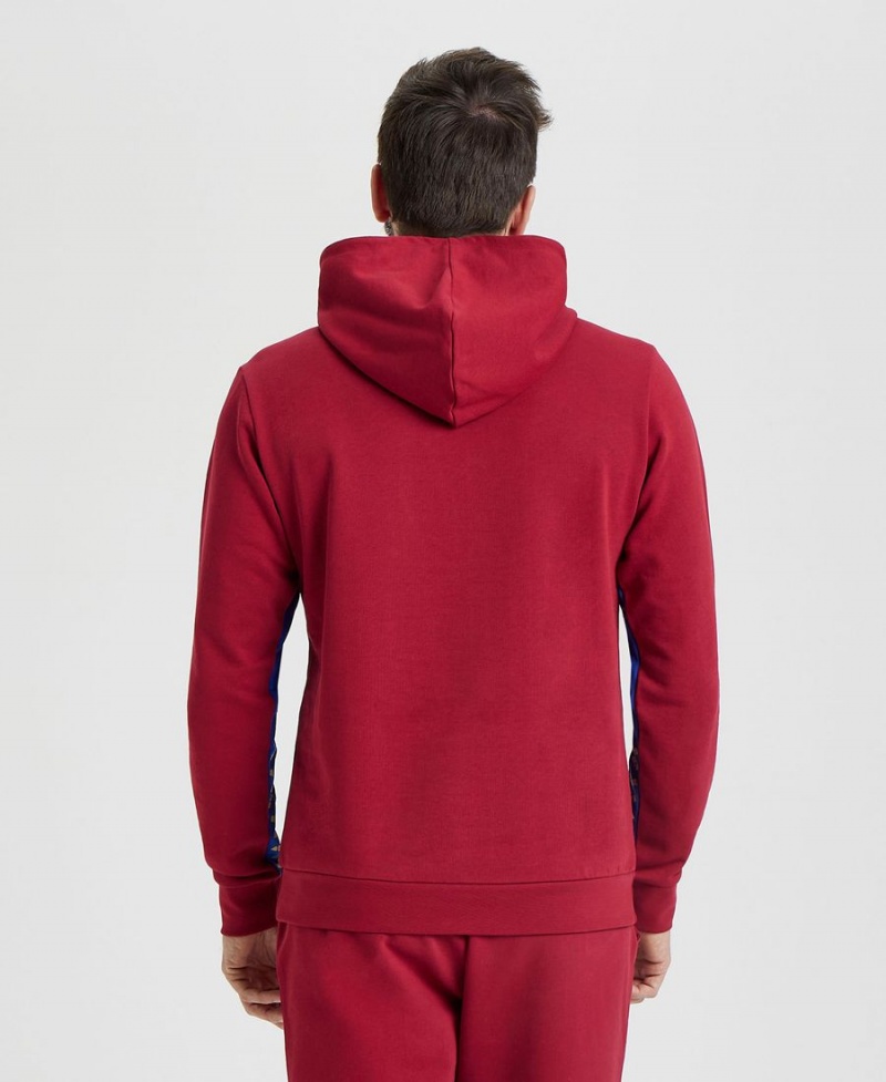 Arena Icons Solid Hooded Sweatshirt Vinröda | UNE59T-339