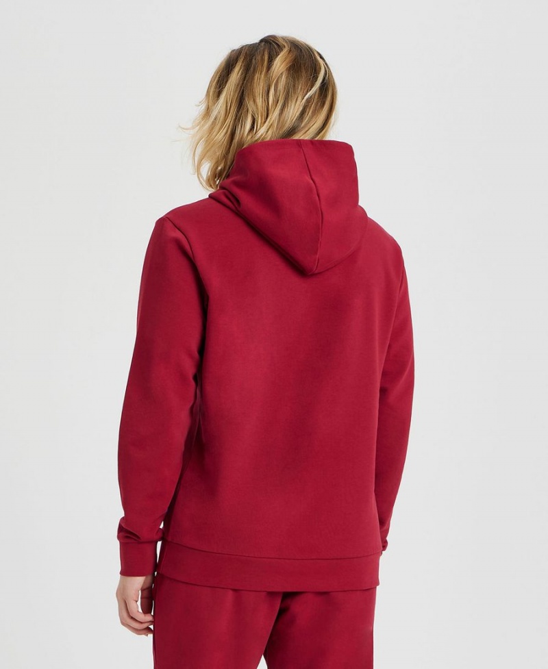 Arena Icons Solid Hooded Sweatshirt Vinröda | UNE59T-339