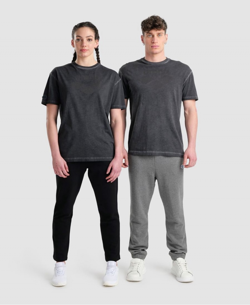 Arena Icons T-Shirt Grå | EWE98B-721