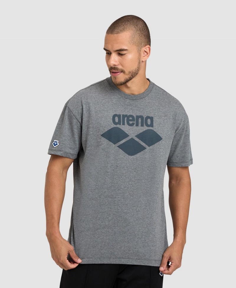 Arena Icons T-Shirt Grå | FXV95R-372