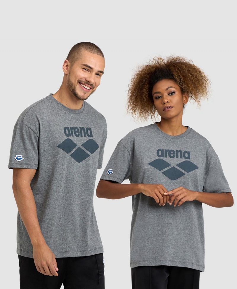 Arena Icons T-Shirt Grå | FXV95R-372