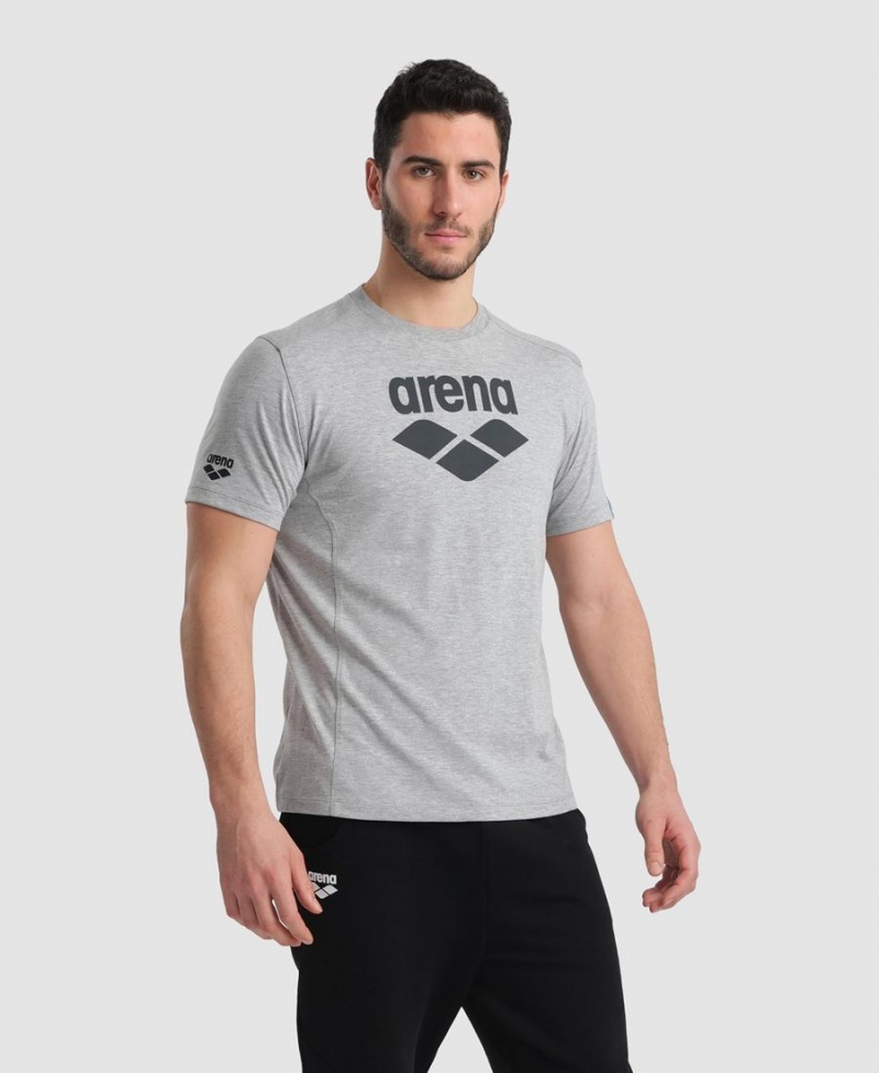 Arena Logo Bomull T-Shirt Grå | FZG17Y-771