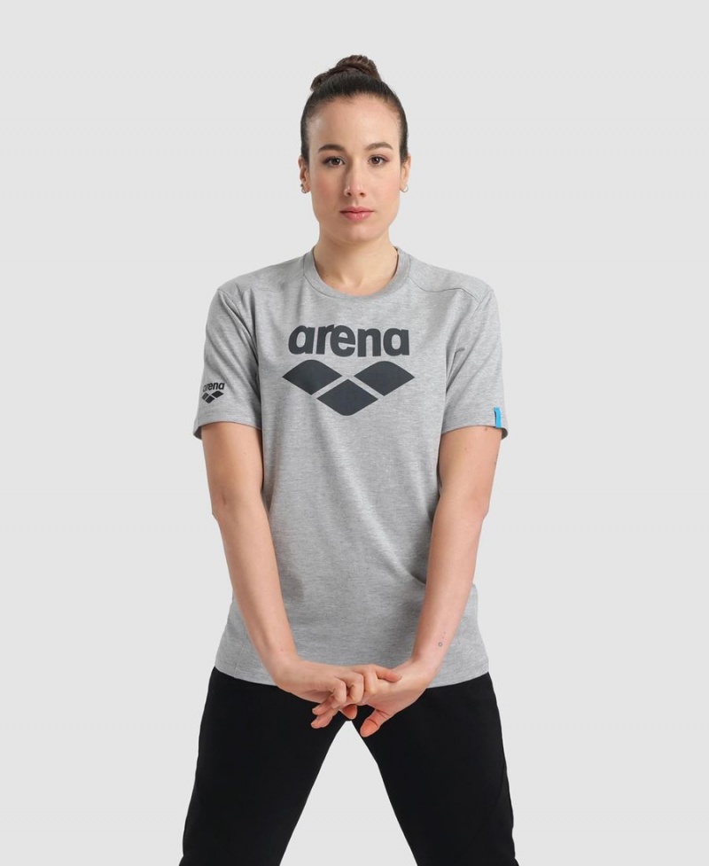 Arena Logo Bomull T-Shirt Grå | FZG17Y-771