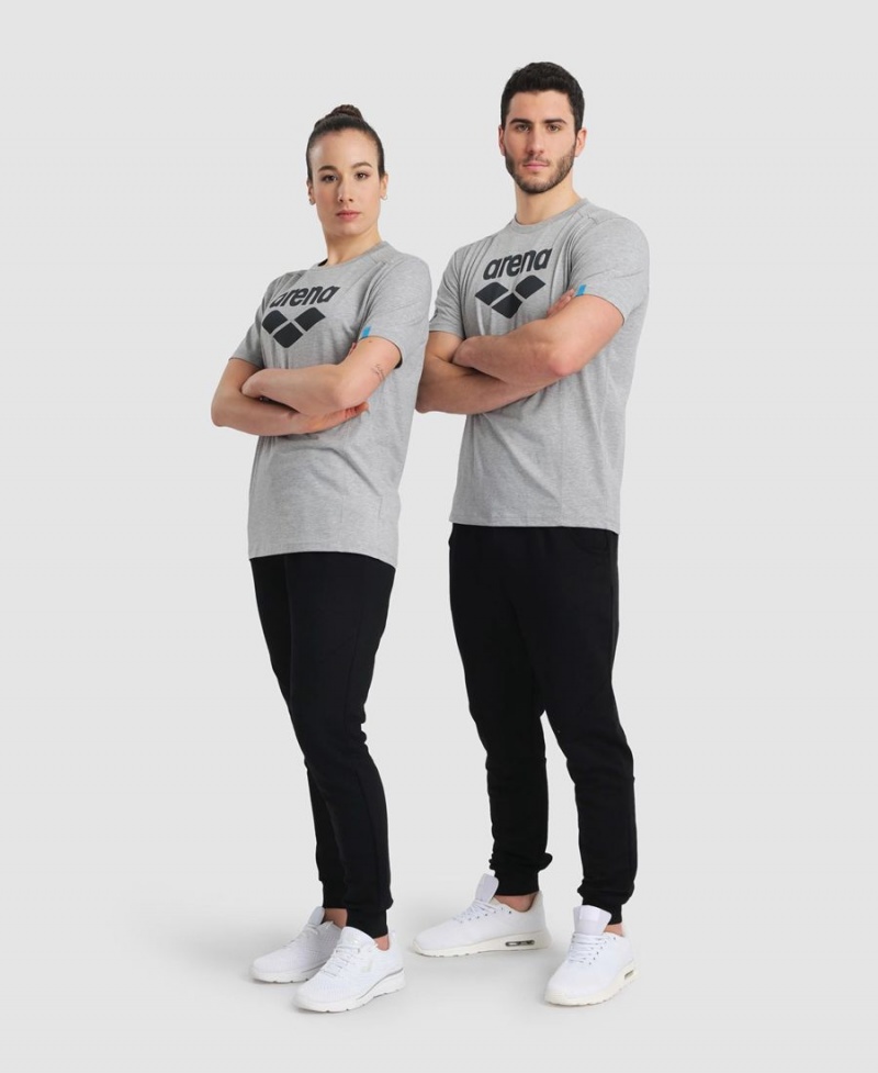 Arena Logo Bomull T-Shirt Grå | FZG17Y-771