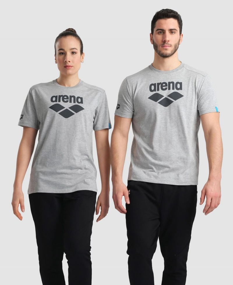 Arena Logo Bomull T-Shirt Grå | FZG17Y-771