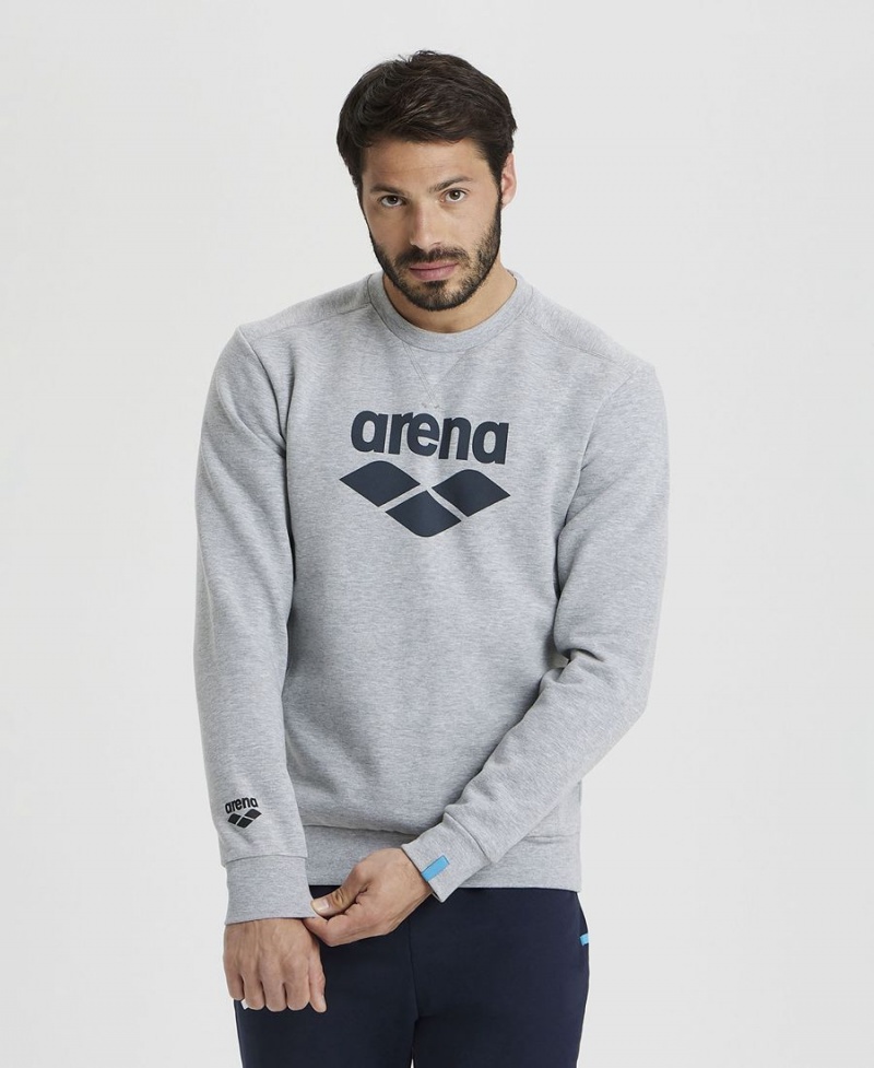 Arena Logo Crewneck Sweatshirt Grå | GVH33J-375