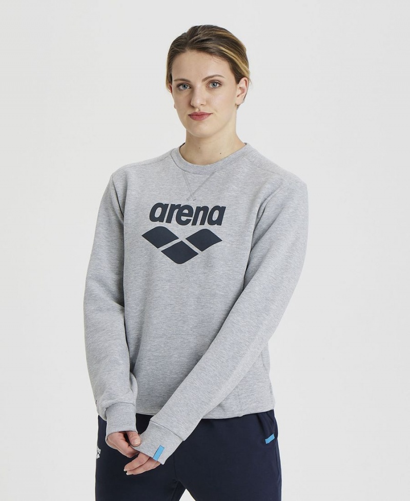 Arena Logo Crewneck Sweatshirt Grå | GVH33J-375