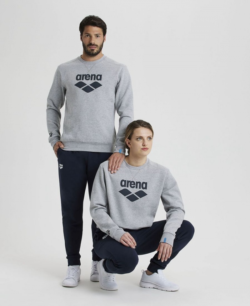 Arena Logo Crewneck Sweatshirt Grå | GVH33J-375