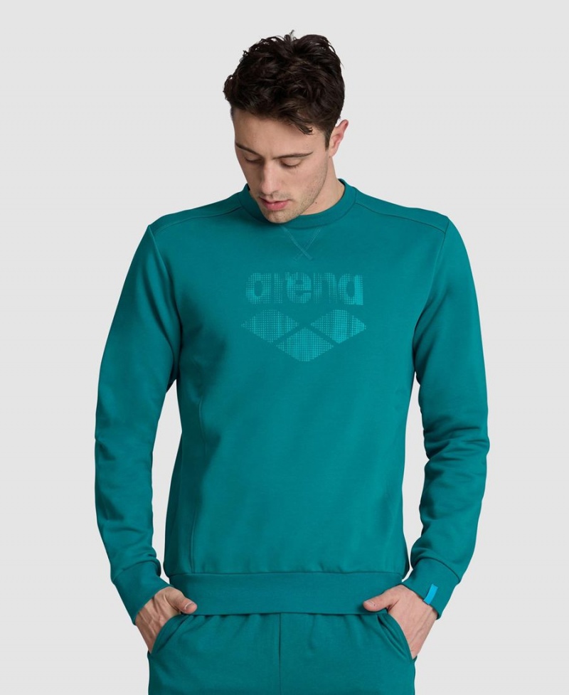 Arena Logo Crewneck Sweatshirt Gröna | AEB16V-527