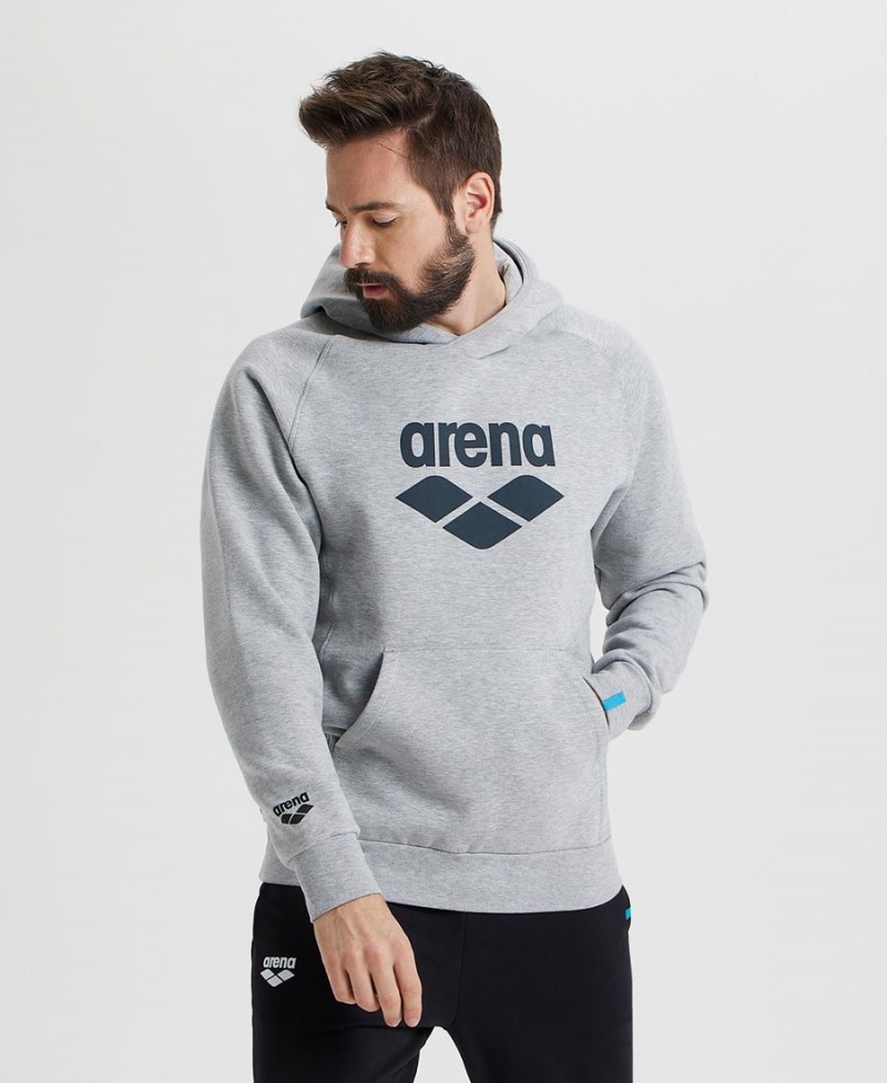 Arena Logo Hooded Sweatshirt Grå | CVS33B-781