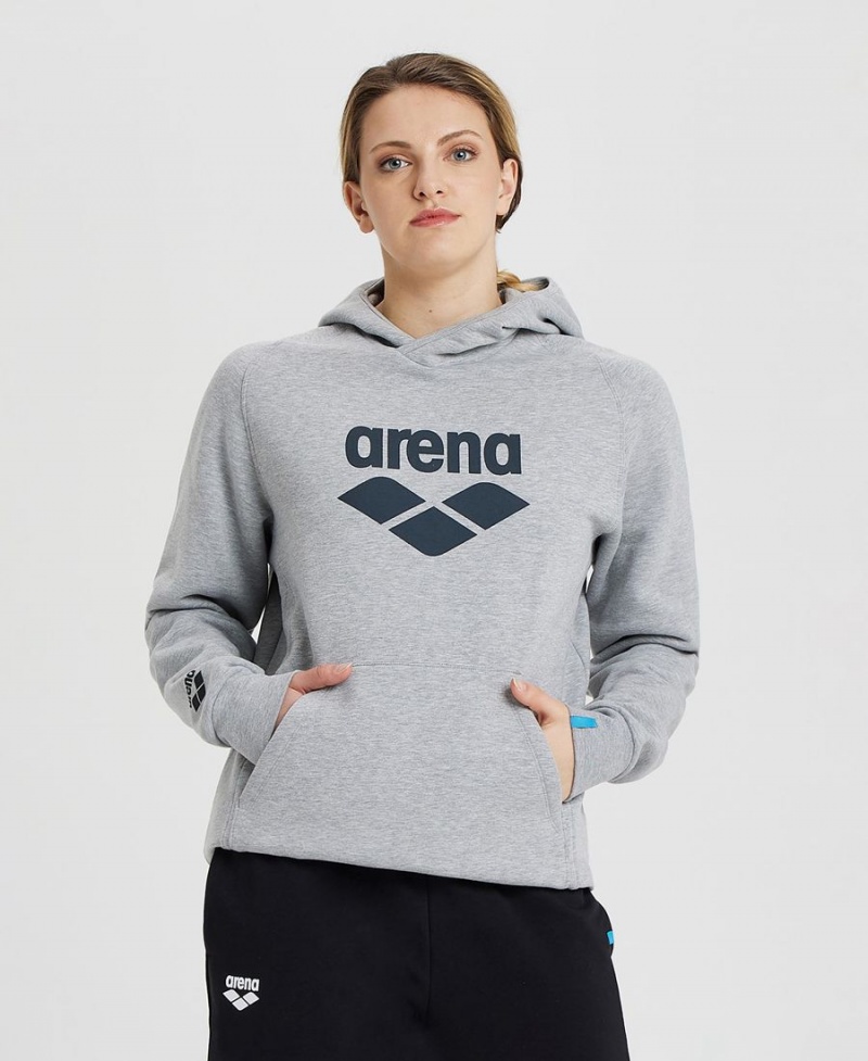 Arena Logo Hooded Sweatshirt Grå | CVS33B-781