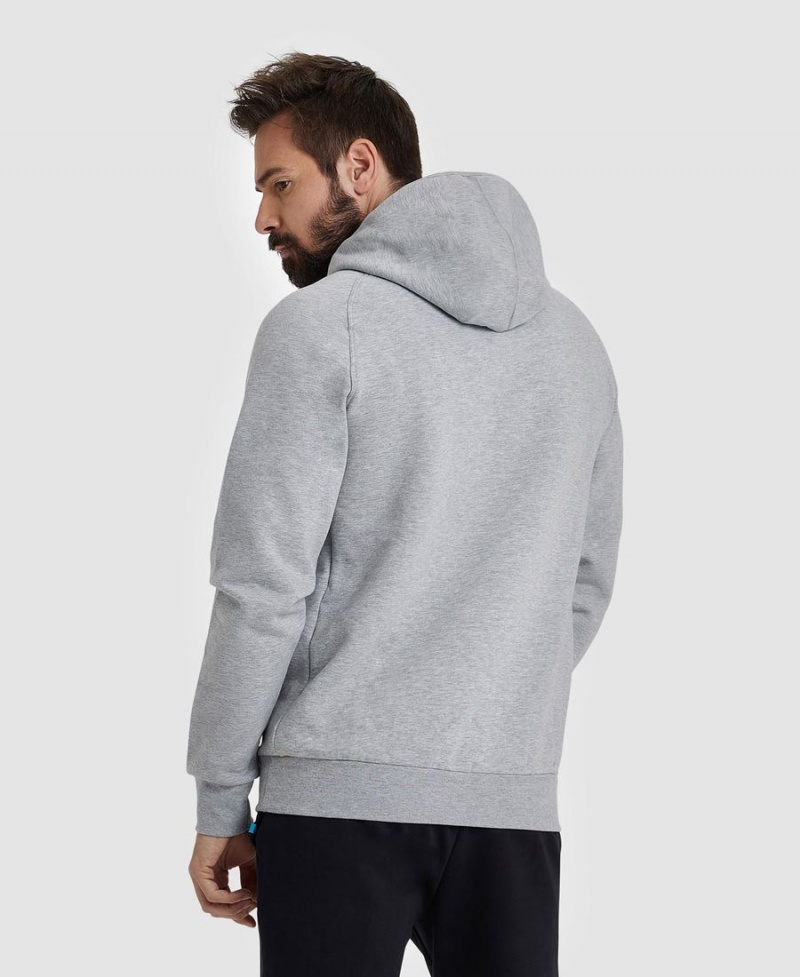 Arena Logo Hooded Sweatshirt Grå | CVS33B-781