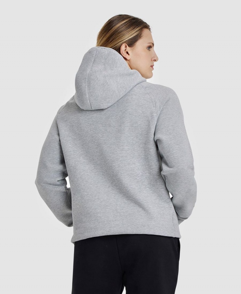 Arena Logo Hooded Sweatshirt Grå | CVS33B-781